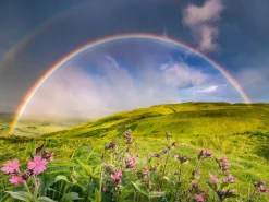 RAVENSBURGER RAINBOWSCAPE 1500 PALAA