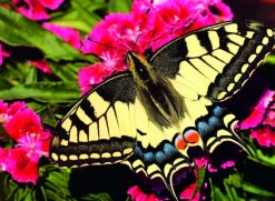 RAVENSBURGER PALAPELI 500P BUTTERFLY