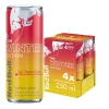 RED BULL WINTER EDITION 0,25 TLK 4-PACK 1L