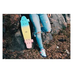 SANDBAR CRUISER RAINBOW POTKULAUTA