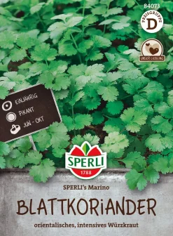 SCHETELIG KORIANTERI MARINO