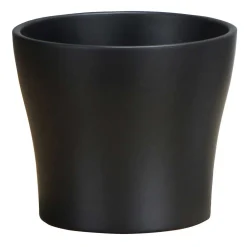 SCHEURICH RUUKKU 808/19 ANTRASIITTI