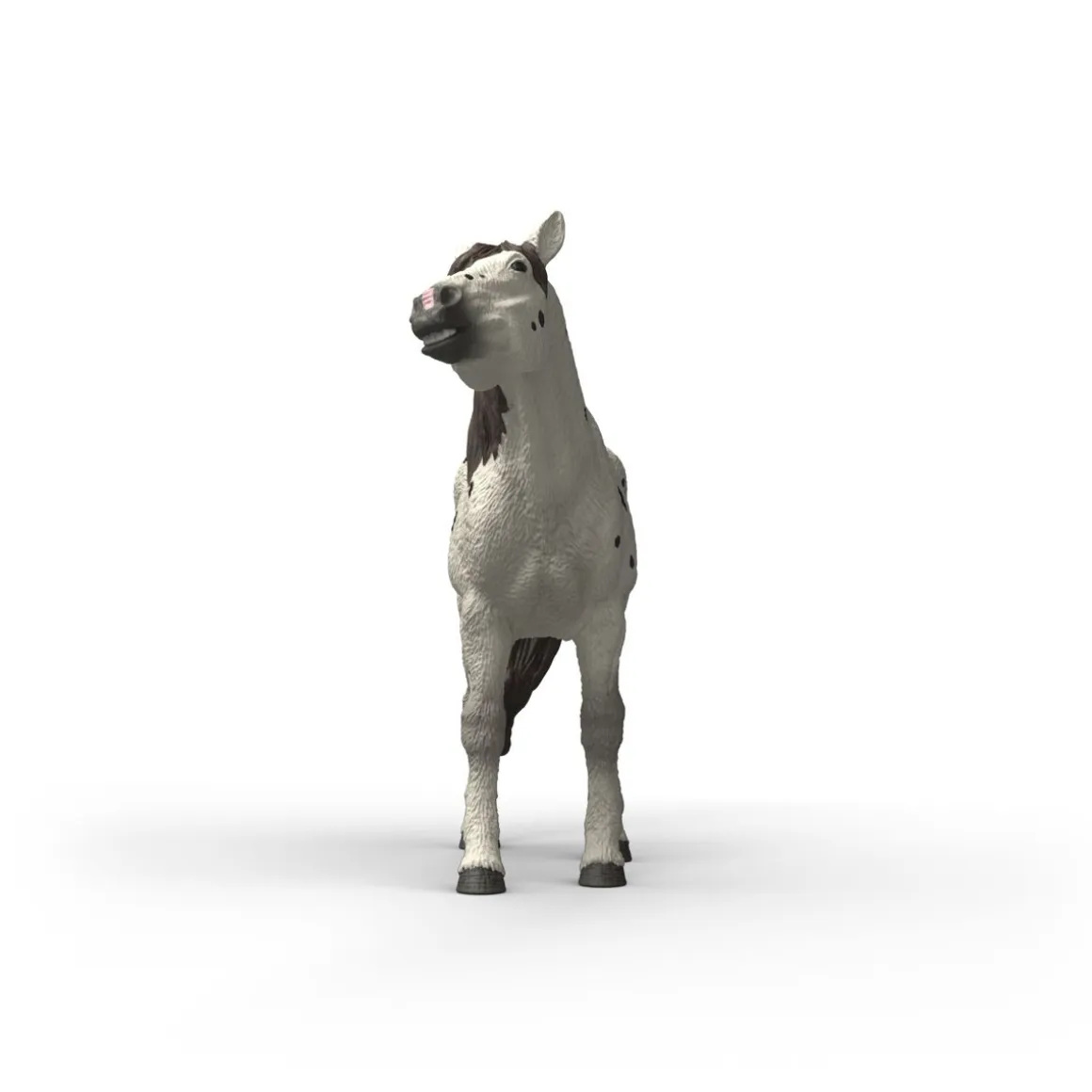 SCHLEICH KNABSTRUPINHEVONEN, RUUNA