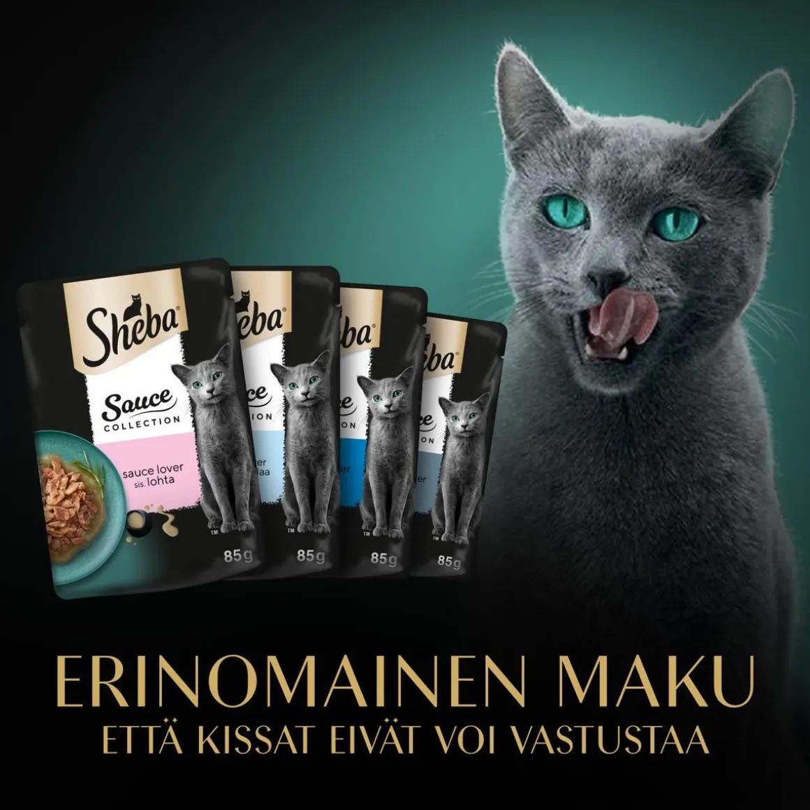 SHEBA ANNOSP. SAUCE COLLECTION KALALAJITELMA 40*85G 3,4 KG