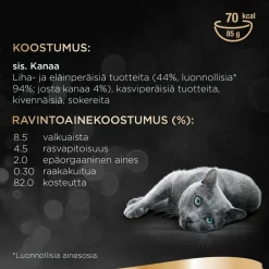 SHEBA ANNOSP. SELECTION KANAA KASTIKKEESSA 85 G