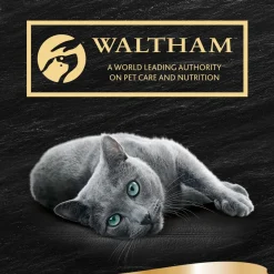 SHEBA ANNOSP. SOUP 4*40G LOHI 160 G