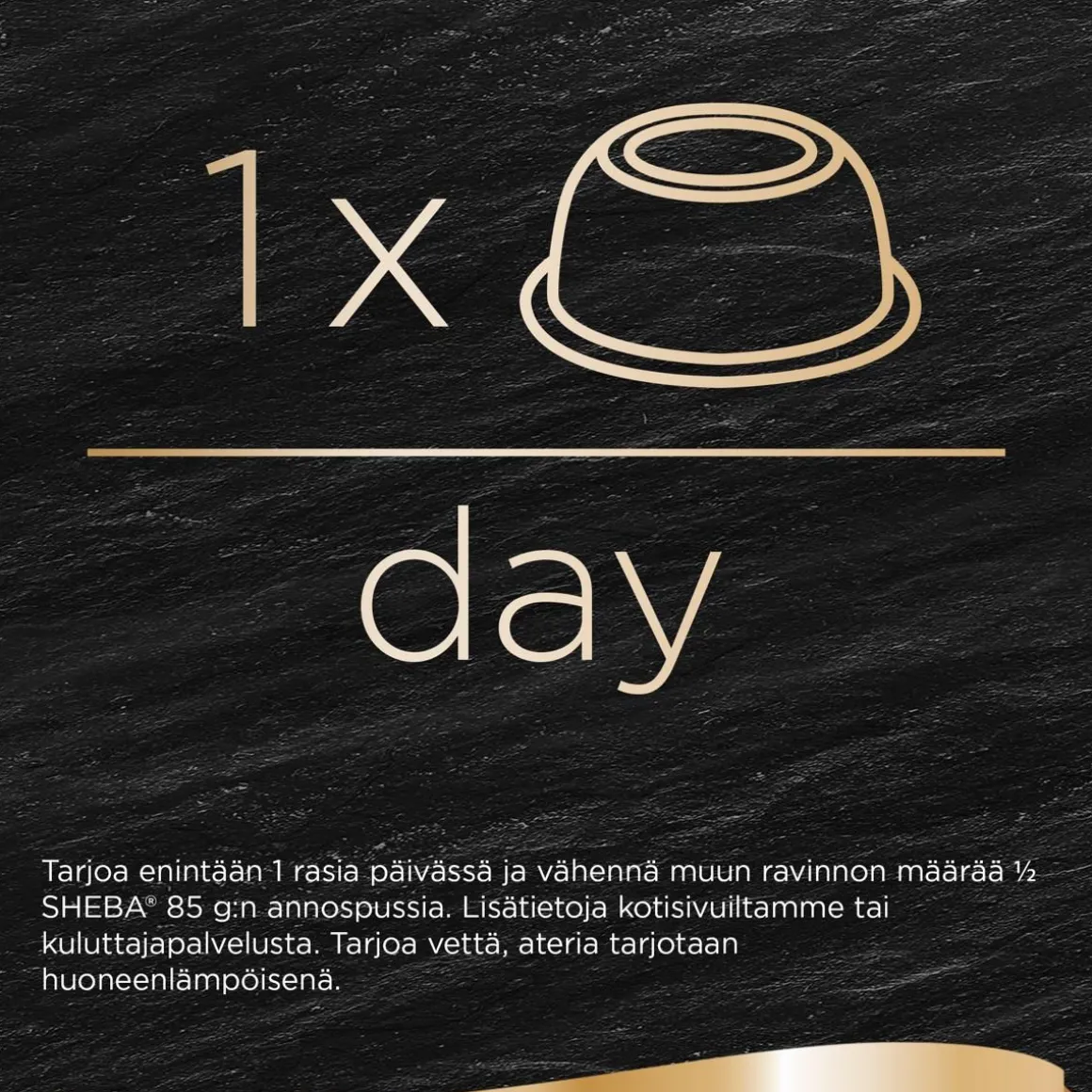 SHEBA RASIA LUXURIES KANAFILE-KATKARAPU-MERIKALA 60 G
