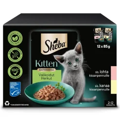 SHEBA ANNOSP. KITTEN KANA JA LOHI KASTIKELAJ. 12*85G 1,02 KG