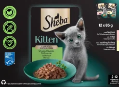 SHEBA ANNOSP. KITTEN KANA JA LOHI KASTIKELAJ. 12*85G 1,02 KG