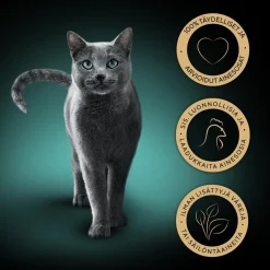 SHEBA RASIA CLASSIC KANA 85 G