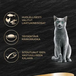 SHEBA RASIA LUXURIES KANAFILE-TONNIKALA MSC 60 G