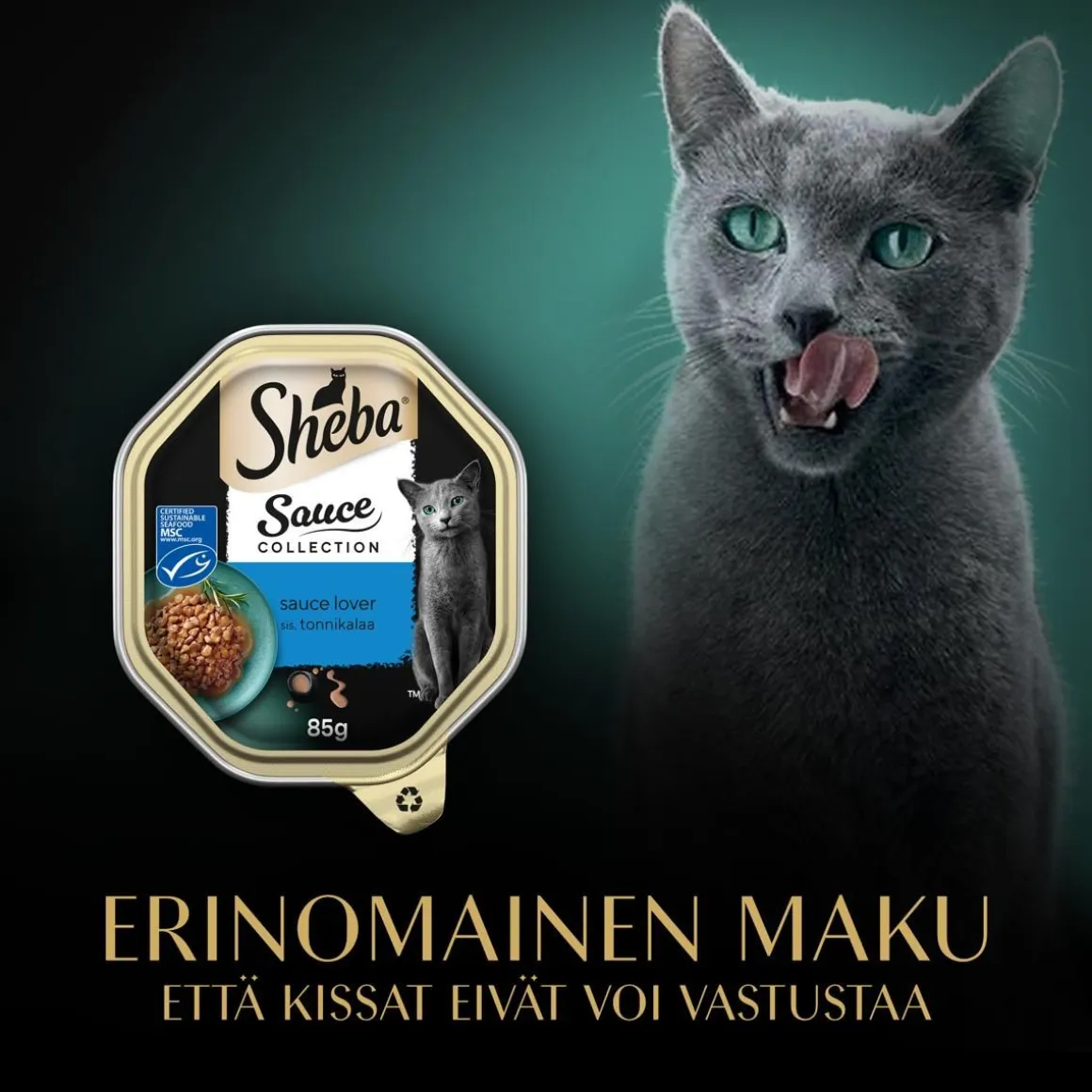 SHEBA RASIA SAUCE LOVER TONNIKALA MSC 85 G