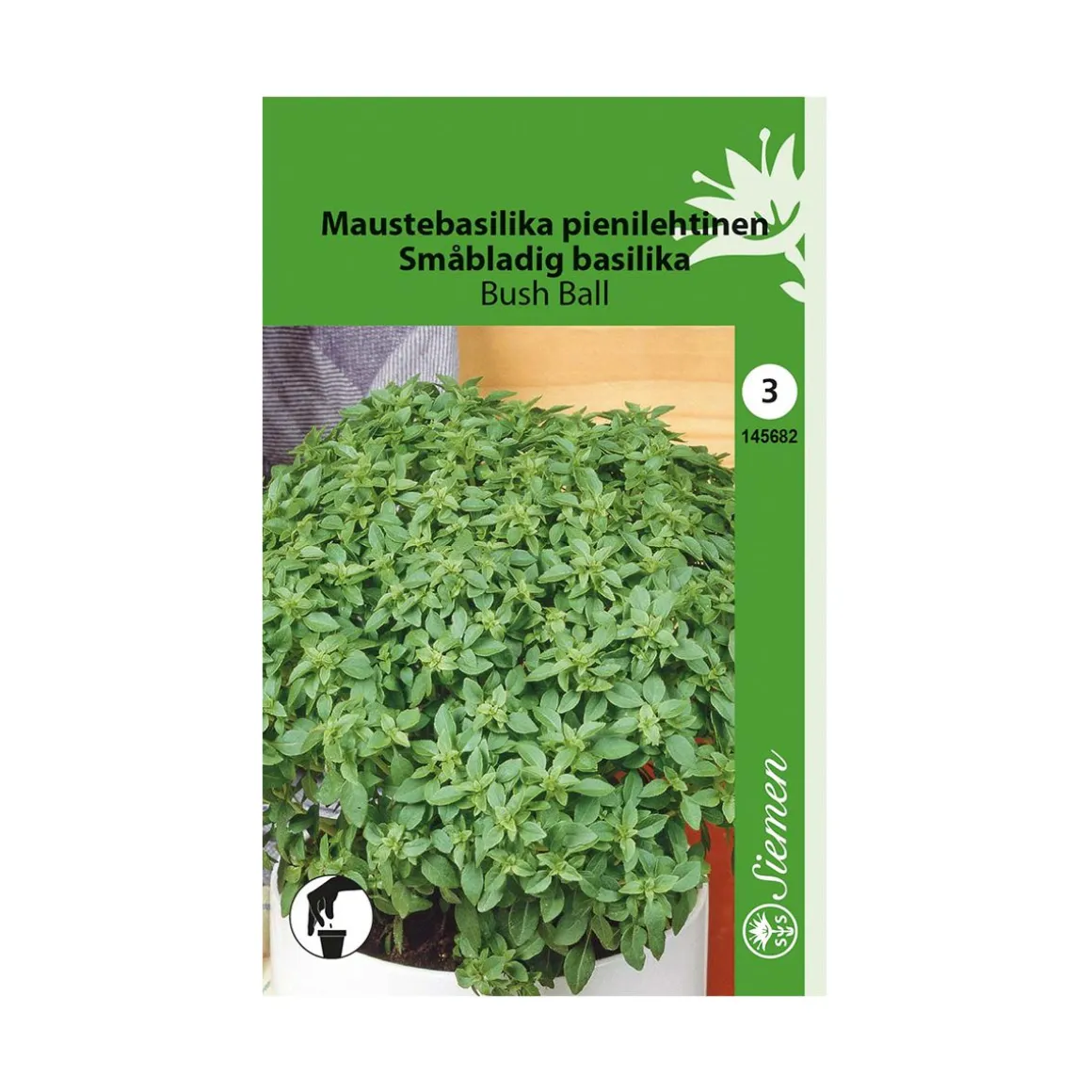 SIEMEN MAUSTEBASILIKA BUSH BALL PIENILEHT HR3