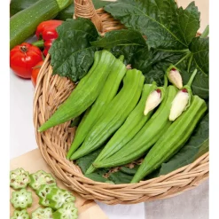 SIEMEN OKRA CLEMSONS SPINELESS HR3