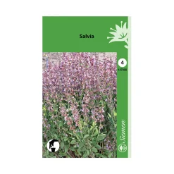 SIEMEN SALVIA HR4