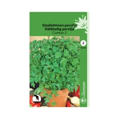 SIEMEN SILEÄLEHTINEN PERSILJA COMUN 3 HR2