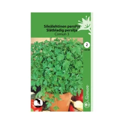 SIEMEN SILEÄLEHTINEN PERSILJA COMUN 3 HR2