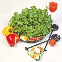 SIEMEN TAMMENLEHTISALAATTI SALAD BOWL HR2