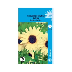 SIEMEN ISOAURINGONKUKKA ITALIAN WHITE HR3