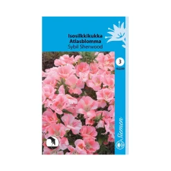 SIEMEN ISOSILKKIKUKKA SYBIL SHERWOOD HR3