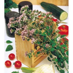 SIEMEN MÄKIMEIRAMI, OREGANO HR4