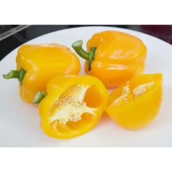 SIEMEN PAPRIKA YELLOW CALIFORNIA WONDER HR4