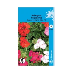 SIEMEN PELARGONI SUPER HYBRID MIX F2 HR6