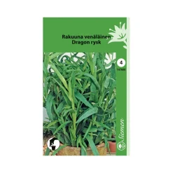 SIEMEN RAKUUNA VENÄLÄINEN HR4