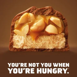SNICKERS 50G SUKLAAPATUKKA 50 G