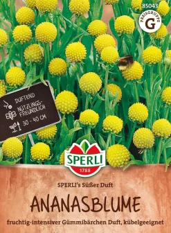 SPERLI TUOKSUSYYSHOHDEKUKKA SUSSER DUFT ANN