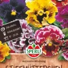 SPERLI VIOLA WITTR. GERMANIA ANN