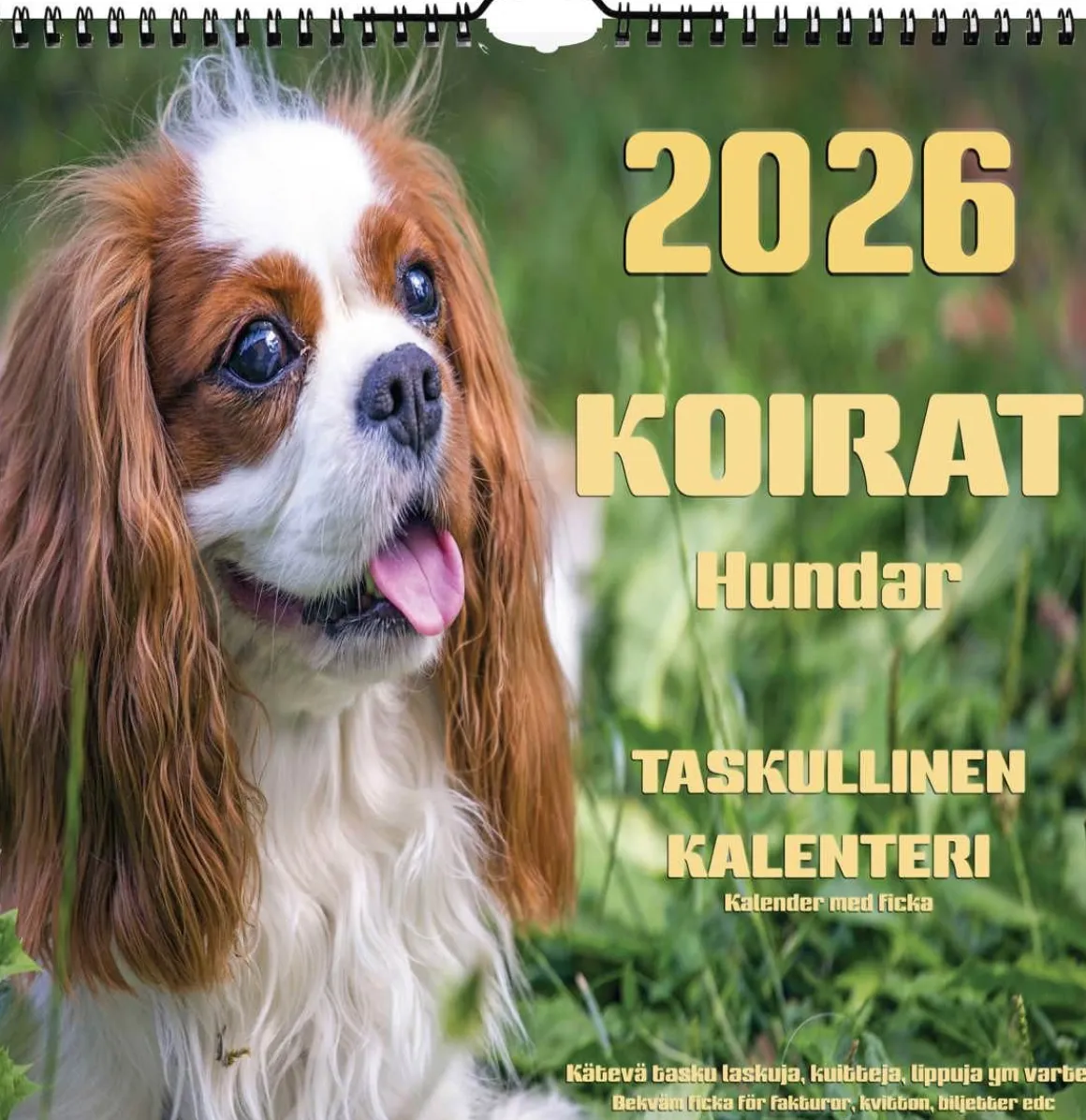 SUOMEN AIKA TASKULLINEN KALENTERI KOIRAT