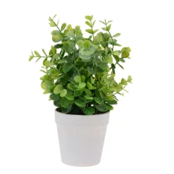 TEKO VIHERKASVI RUUKUSSA 25CM