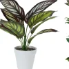 TEKOKASVI RUUKUSSA 33CM
