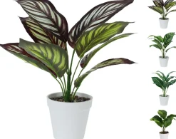 TEKOKASVI RUUKUSSA 33CM