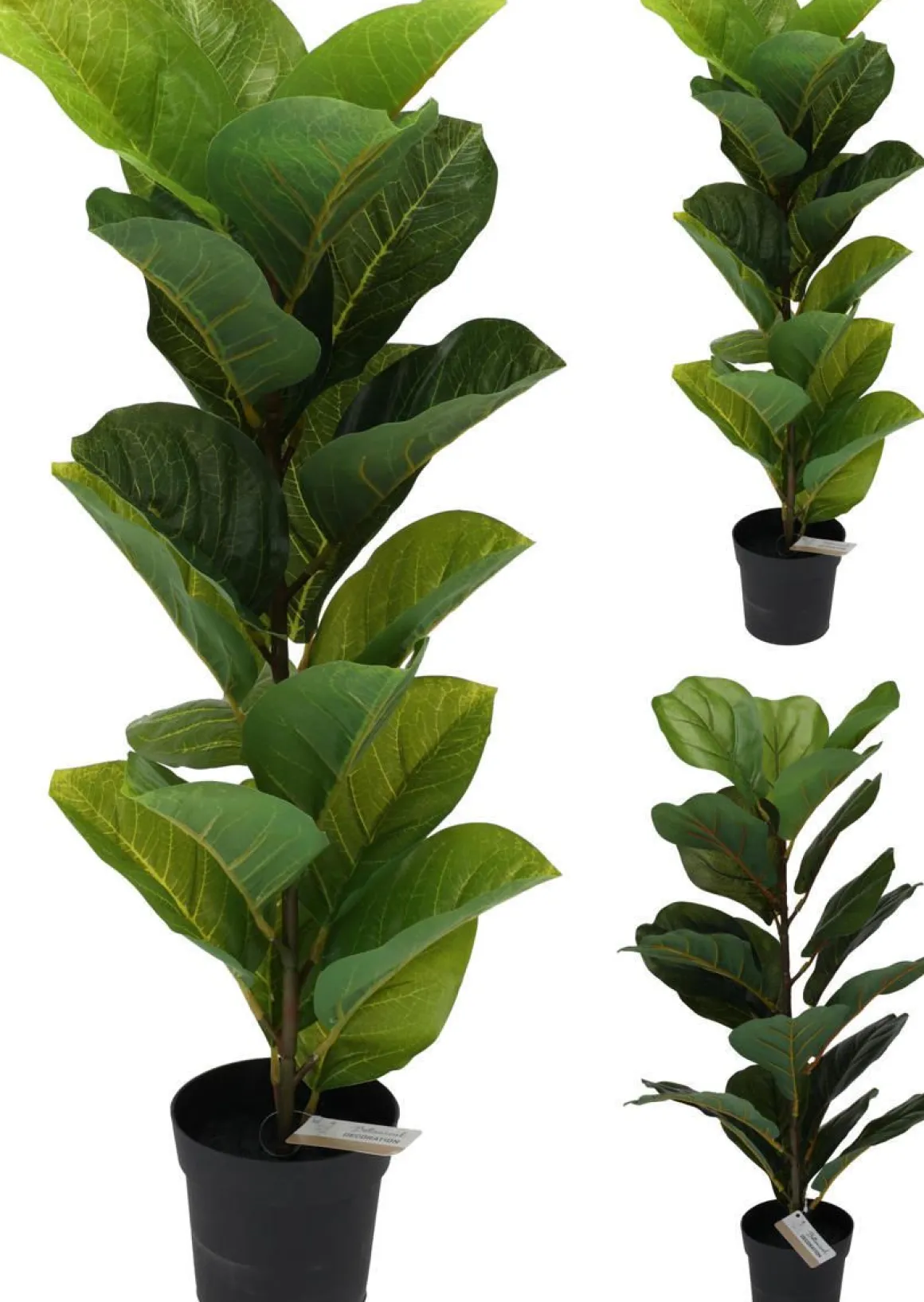 TEKOKASVI RUUKUSSA 66CM