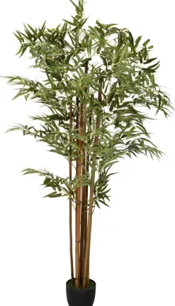 TEKOKASVI 180 CM
