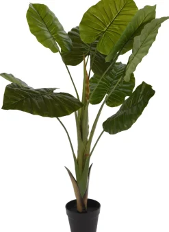 TEKOKASVI 110 CM