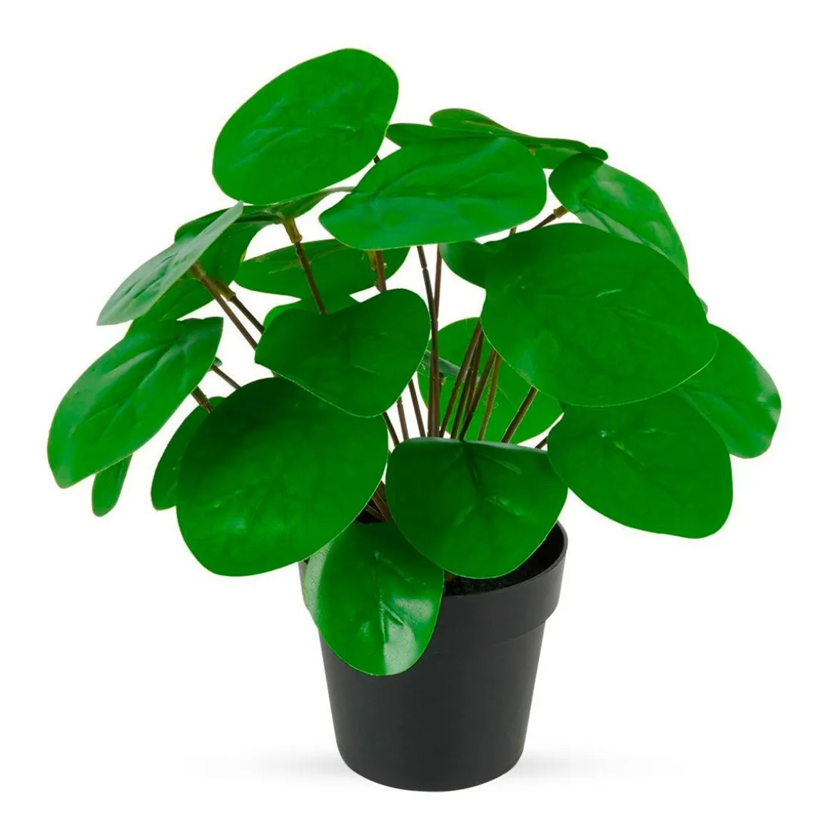 TEKOKASVI RUUKUSSA 25CM