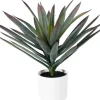 TEKOKASVI RUUKUSSA 50CM