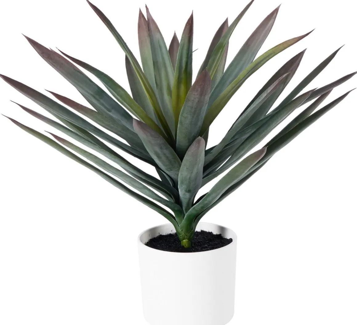 TEKOKASVI RUUKUSSA 50CM