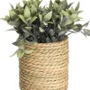 TEKOKASVI RUUKUSSA 23CM