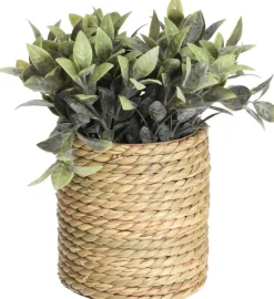 TEKOKASVI RUUKUSSA 23CM