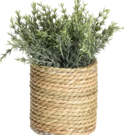 TEKOKASVI RUUKUSSA 23CM