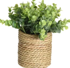 TEKOKASVI RUUKUSSA 23CM