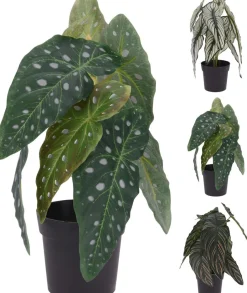 TEKOKASVI RUUKUSSA 33CM LAJITELMA