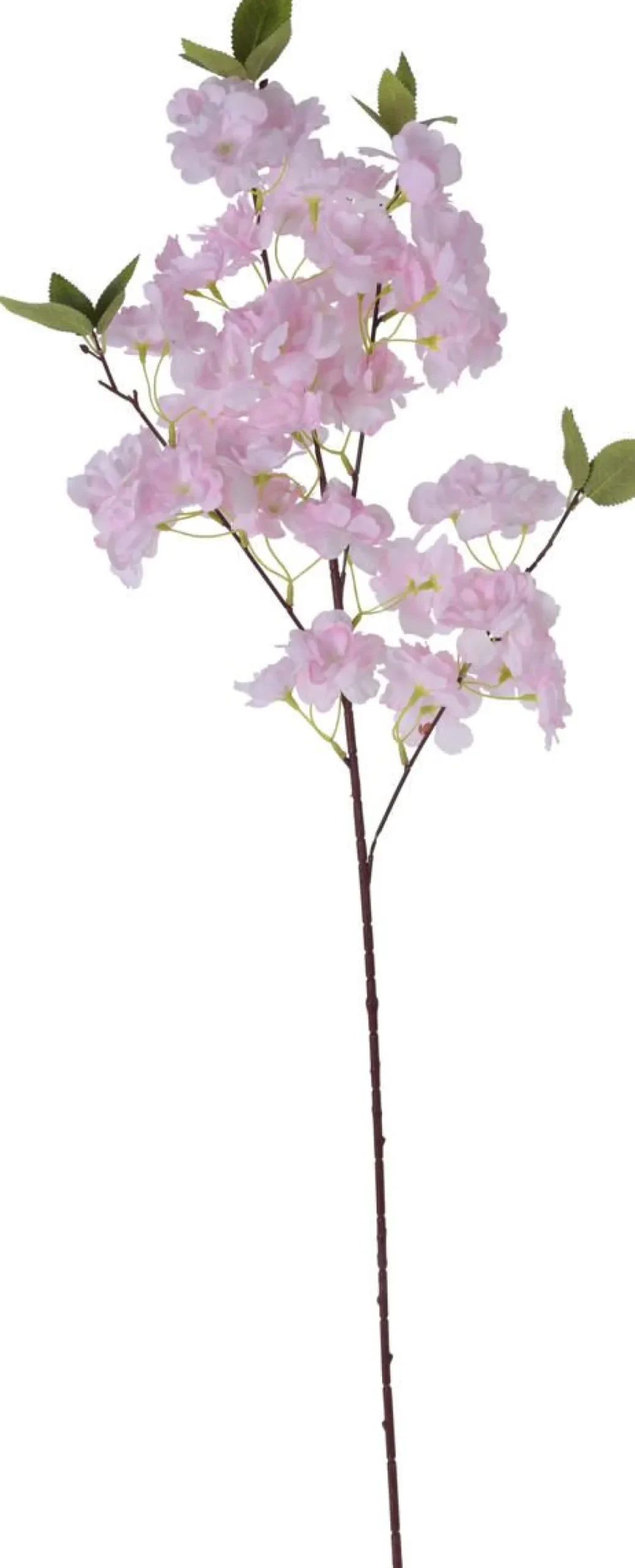 TEKOKUKKA 95CM LAJITELMA