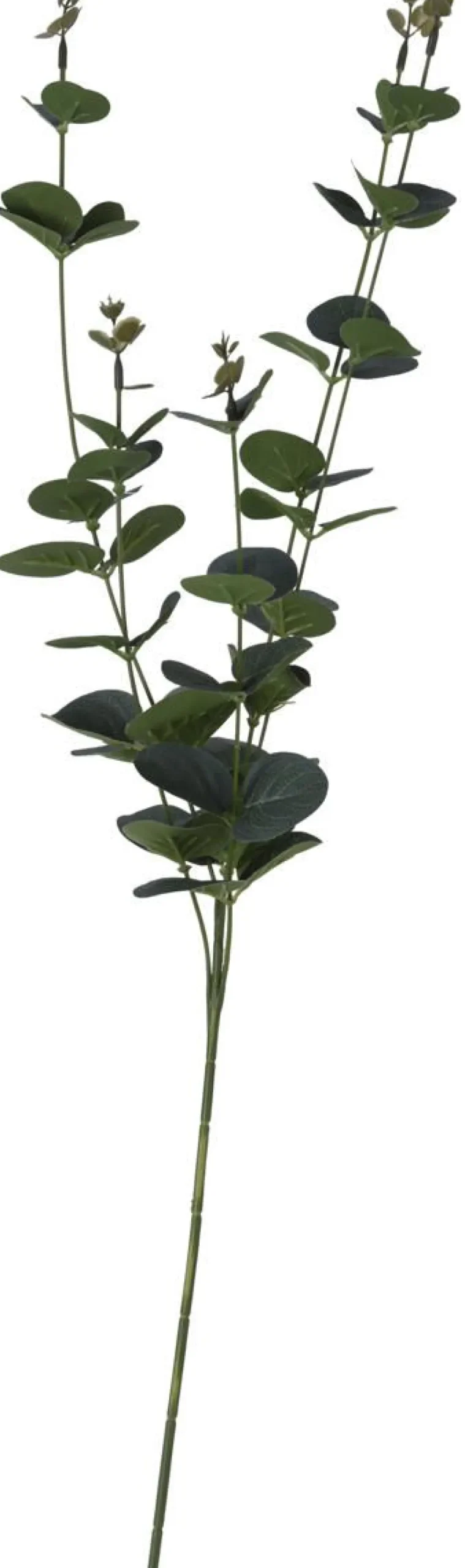 TEKOKUKKA 64CM LAJITELMA