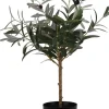 TEKO OLIIVIPUU 66CM