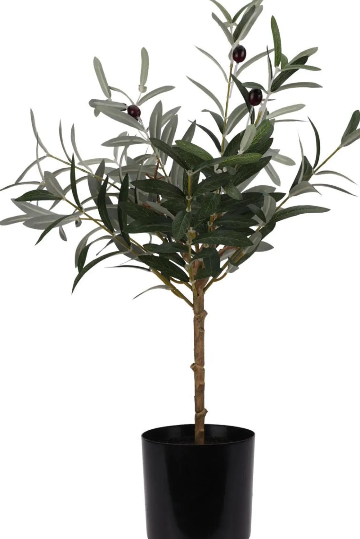 TEKO OLIIVIPUU 66CM
